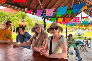 Cozumel: historia, smaki i plaża