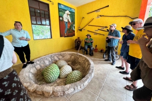 Cozumel: historia, smaki i plaża