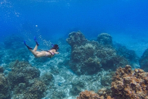 Cozumel : Excursion en bateau à fond transparent et activité de plongée avec tuba