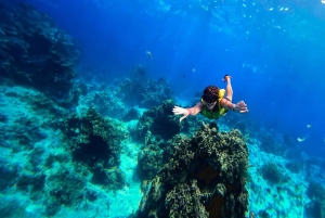 Cozumel : Excursion en bateau à fond transparent et activité de plongée avec tuba
