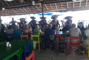 Cozumel: Island Bar Tour lounaalla