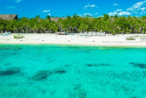 Cozumel: Mexican Mixology Workshop by the Sea