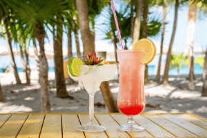 Cozumel: Mexican Mixology Workshop by the Sea