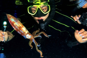 Cozumel: Night Snorkel Adventure