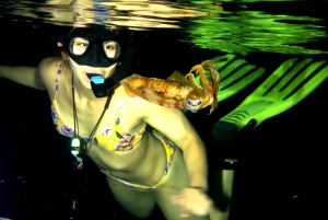 Cozumel: Night Snorkel Adventure