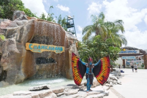 Cozumel : Parc Officiel de Chankanaab et Plongée en Apnée avec Déjeuner