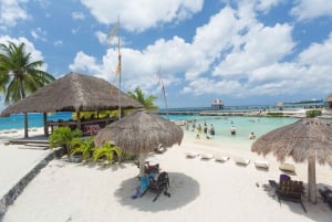 Cozumel : Parc Officiel de Chankanaab et Plongée en Apnée avec Déjeuner