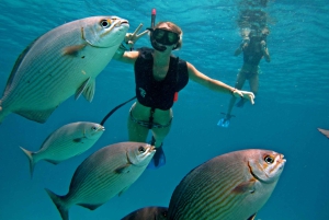 Cozumel : Parc Officiel de Chankanaab et Plongée en Apnée avec Déjeuner