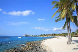 Cozumel : Parc Officiel de Chankanaab et Plongée en Apnée avec Déjeuner