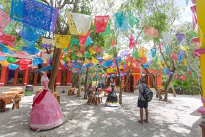 Cozumel: Parque Chankanaab y esnórquel con almuerzo