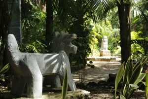 Cozumel: Parque Chankanaab y esnórquel con almuerzo