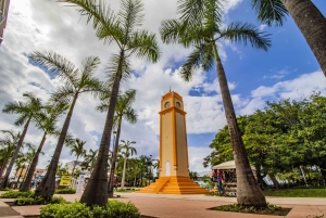 Cozumel: Wycieczka po mieście z otwartym dachem i odpoczynek na plaży