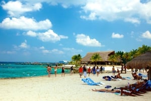 Cozumel Parks: Chankanaab, Punta Sur, San Gervasio+Transport