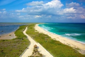 Cozumel Parks: Chankanaab, Punta Sur, San Gervasio+Transport