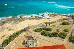 Cozumel Parks: Chankanaab, Punta Sur, San Gervasio+Transport