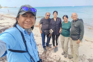 Cozumel: Privates Auto, Fahrer und zertifizierter Tourguide