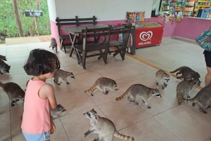 Cozumel: Privates Auto, Fahrer und zertifizierter Tourguide
