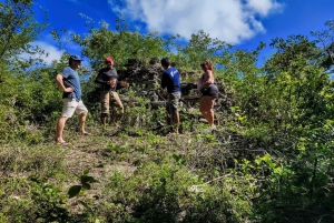 Cozumel: Private Caves and Ruins Tour with Lunch 5 Hours