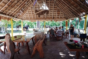 Cozumel: Private Caves and Ruins Tour with Lunch 5 Hours