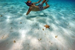 Cozumel: Privé charterboot en dagtrip snorkelen