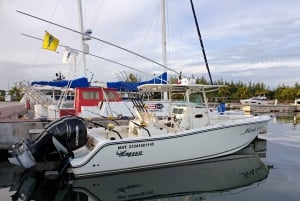 Cozumel: Privé charterboot en dagtrip snorkelen