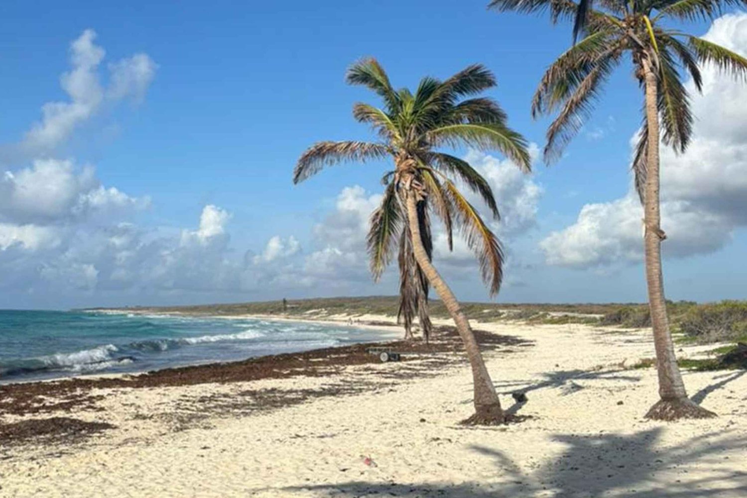 Cozumel: Privat tur på øen