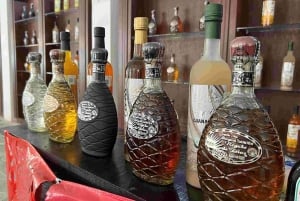 Cozumel: Privat øy-tur