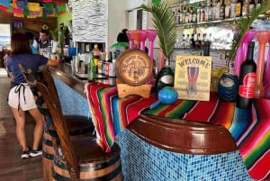 Cozumel: Privat øy-tur