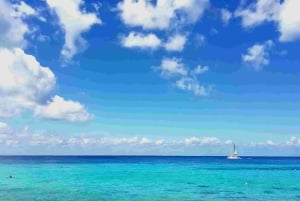 Cozumel: Privat øy-tur