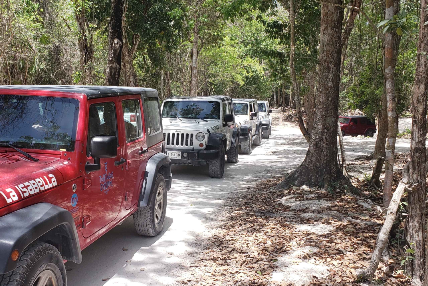 Cozumel: Private Jeep Tour Shore Excursion