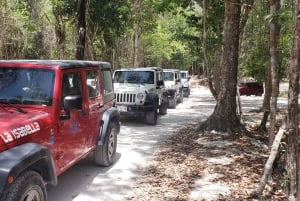 Cozumel: Prywatna wycieczka jeepem na ląd