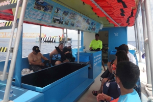Cozumel : Excursion privée VIP en bateau à fond de verre et plongée en apnée