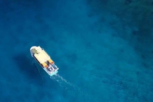 Cozumel : Excursion privée VIP en bateau à fond de verre et plongée en apnée