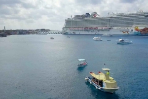 Cozumel : Excursion privée VIP en bateau à fond de verre et plongée en apnée