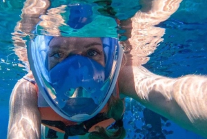 Cozumel Snorkeling Adventure on a Clear Bottom Boat