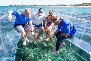 Cozumel Snorkeling Adventure on a Clear Bottom Boat