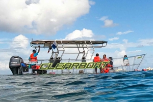 Cozumel Snorkeling Adventure on a Clear Bottom Boat