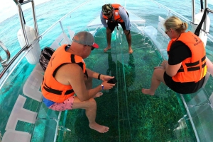 Cozumel Snorkeling Adventure on a Clear Bottom Boat