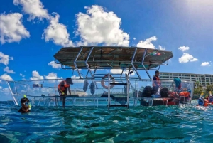 Cozumel Snorkeling Adventure on a Clear Bottom Boat