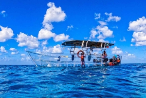 Cozumel Snorkeling Adventure on a Clear Bottom Boat