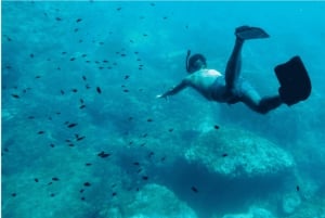 Cozumel: Snorkle-eventyr