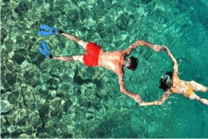 Cozumel: Snorkle-eventyr