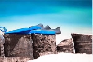 Cozumel: Snorklingsäventyr