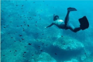 Cozumel: Snorklingsäventyr