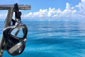 Cozumel: Bådtur med snorkling