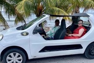 Cozumel: Taco- og tequila-tur med snorkling og mojito