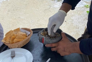 Cozumel: Taco- og tequila-tur med snorkling og mojito