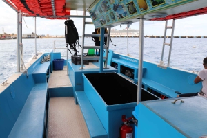 Cozumel: VIP bådtur med glasbund og snorkling ved 3 rev