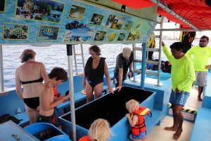 Cozumel: VIP bådtur med glasbund og snorkling ved 3 rev