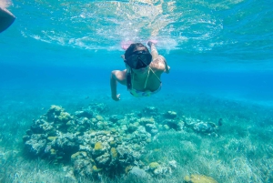 Cozumel: West Coast E-Bike and Snorkeling Tour